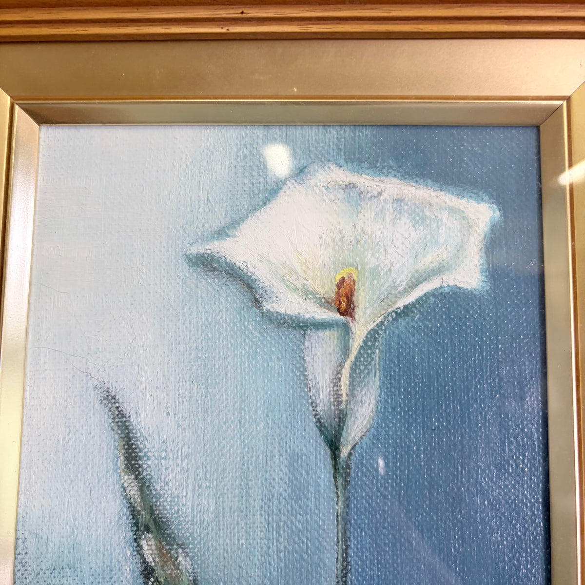 白いカラーリリーの一輪油彩画 / 肉筆油彩画 カラーの花 静物画